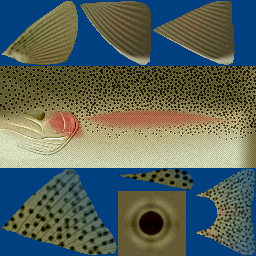 GTP/trunk/App/Demos/Geom/OgreStuff/media/materials/textures/steelhead.png