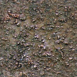 OGRE/trunk/resources/textures/TO_SORT/STONE/0598DIRTY.JPG