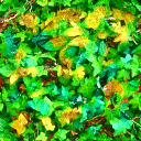 OGRE/trunk/resources/textures/TO_SORT/TEXTURE_ARCHIVE/LEAVES/LEAF05.GIF