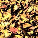 OGRE/trunk/resources/textures/TO_SORT/TEXTURE_ARCHIVE/LEAVES/LEAF13.GIF