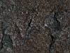 OGRE/trunk/resources/textures/WALLMATERIAL/OLD/A_STONE7.JPG