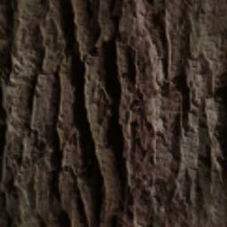 OGRE/trunk/resources/textures/TO_SORT/STONE/1298BARK.JPG