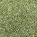 OGRE/trunk/resources/textures/TO_SORT/TEXTURE_ARCHIVE/BLOCK/GRASS1.GIF