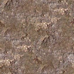 GTP/trunk/App/Demos/Geom/OgreStuff/media/materials/textures/terr_rock-dirt.jpg