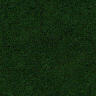 OGRE/trunk/resources/textures/GRASS/A_GRASS2.JPG