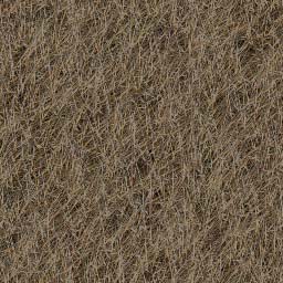 trunk/VUT/Ogre/resources/materials/textures/Grass/0598moss.jpg