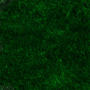 GTP/trunk/App/Demos/Vis/FriendlyCulling/data/city/textures/To Sort/Texture Archive/Grass/grass024.gif