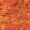 OGRE/trunk/resources/textures/WOOD/WOOD01.GIF