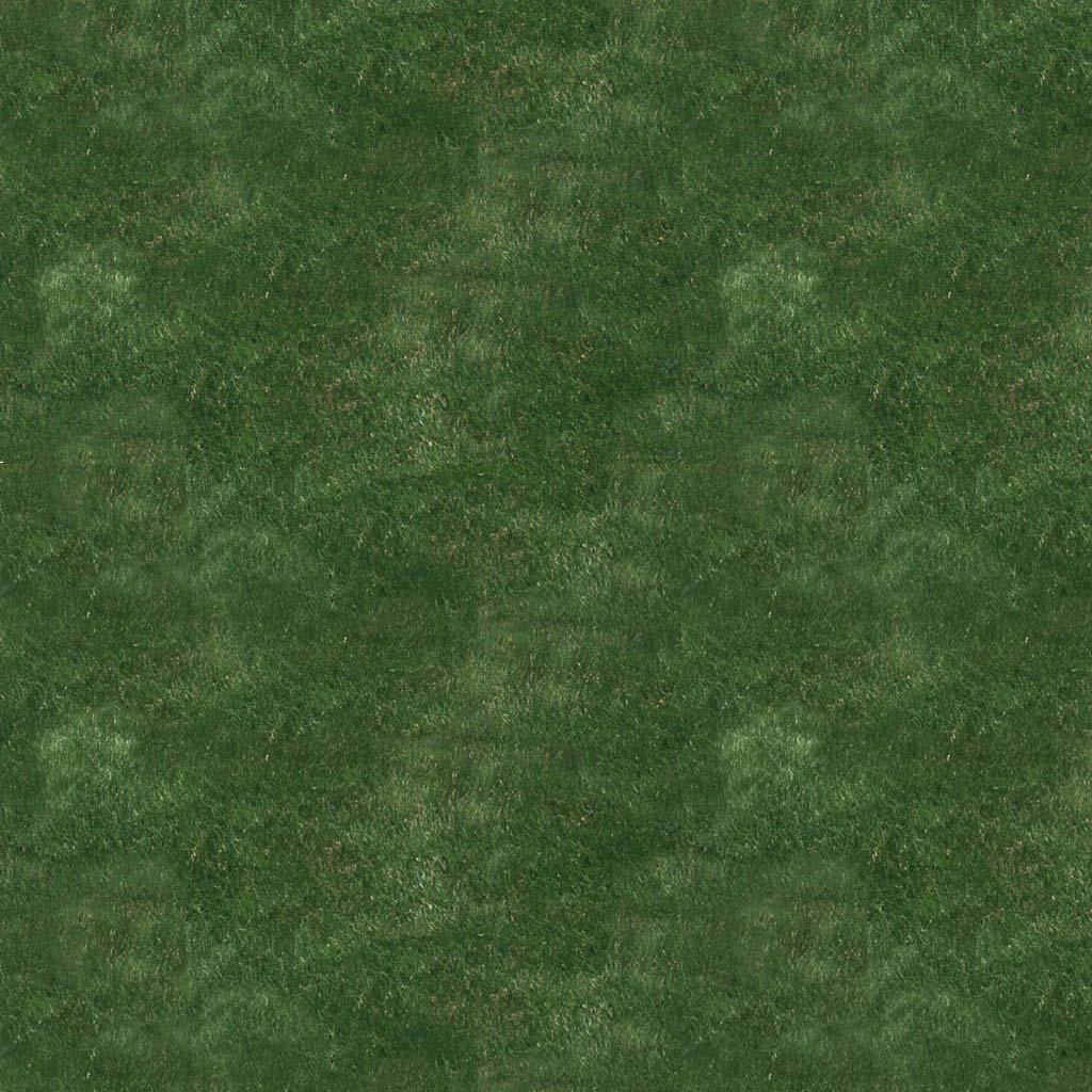 OGRE/trunk/ogrenew/Samples/Media/materials/textures/grass_1024.jpg